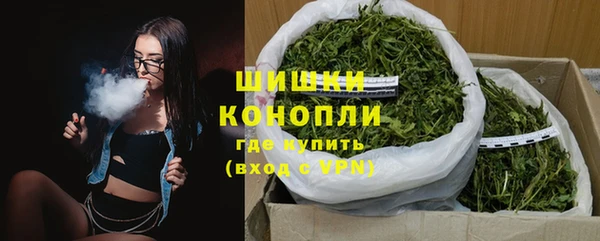 СК Каменногорск
