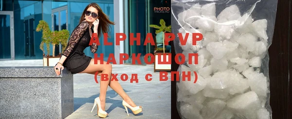 СК Каменногорск