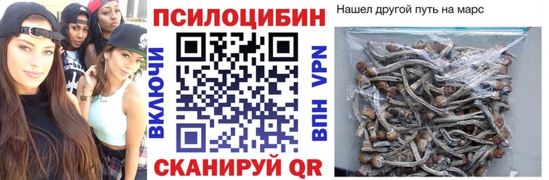 Псилоцибиновые грибы прущие грибы  Купить  Навашино 